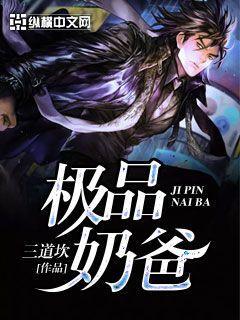 极品奶爸 极品奶爸
